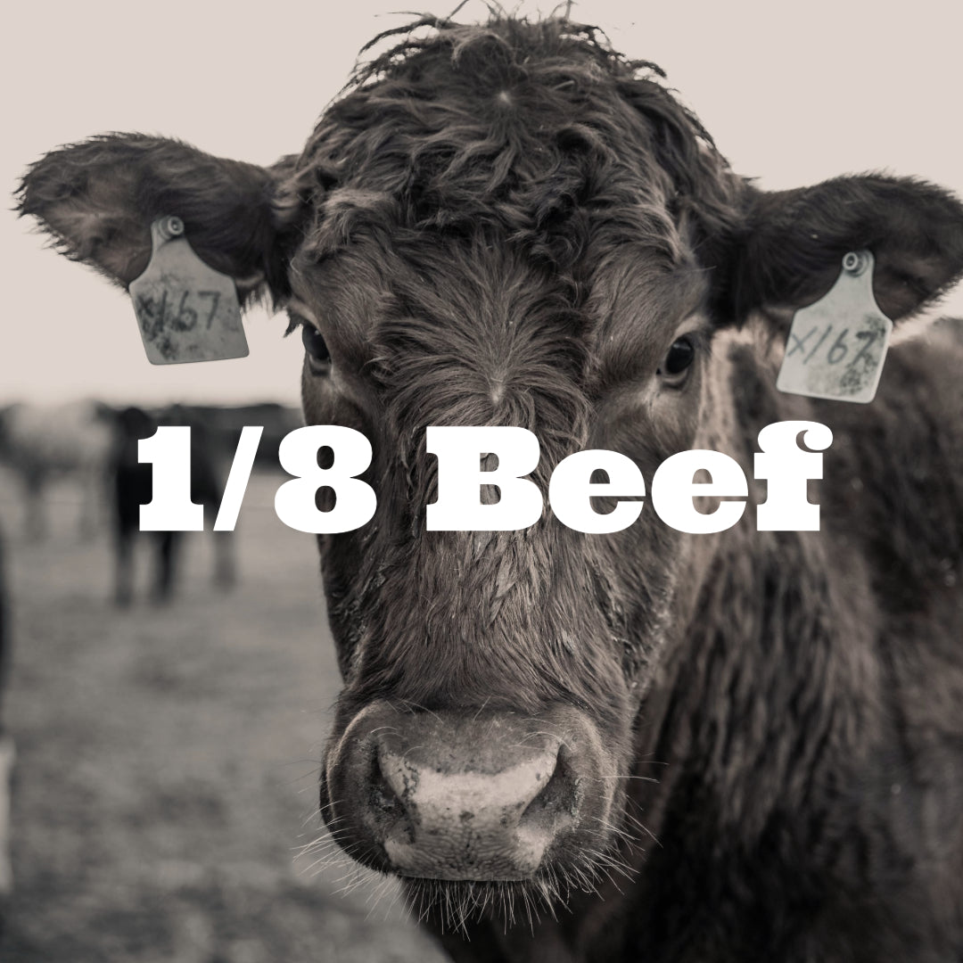 Starter Beef Bundle