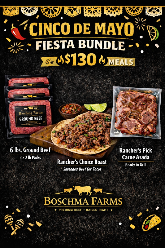 Cinco De Mayo Fiesta Bundle